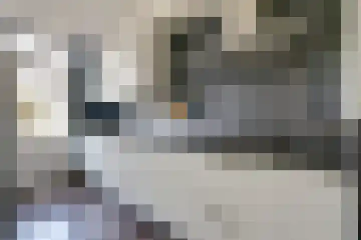 Van Herlaerstraat 6 Ammerzoden thumbnail 14