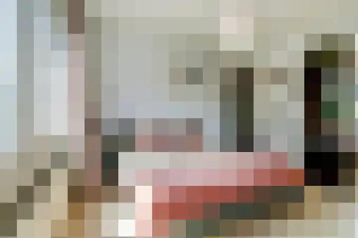 Van Herlaerstraat 6 Ammerzoden thumbnail 18