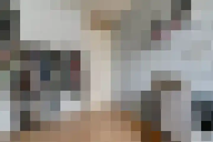 Van Herlaerstraat 6 Ammerzoden thumbnail 23