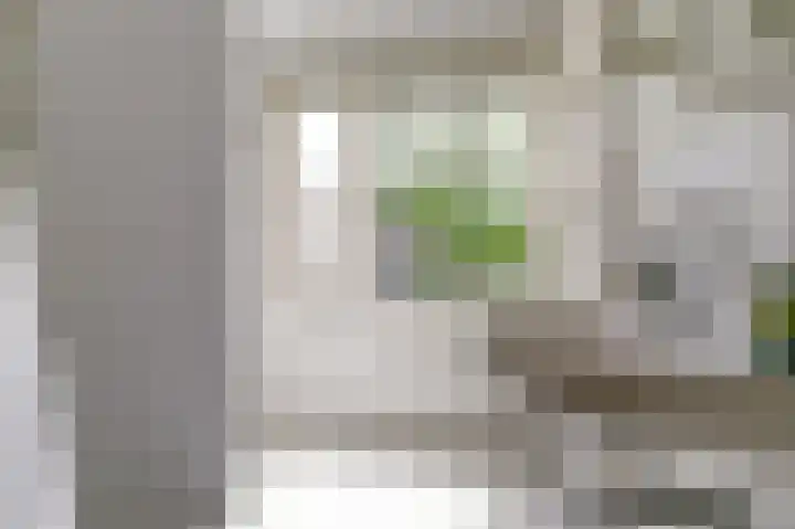 Van Herlaerstraat 6 Ammerzoden thumbnail 24