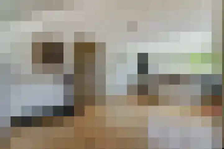 Van Herlaerstraat 6 Ammerzoden thumbnail 27