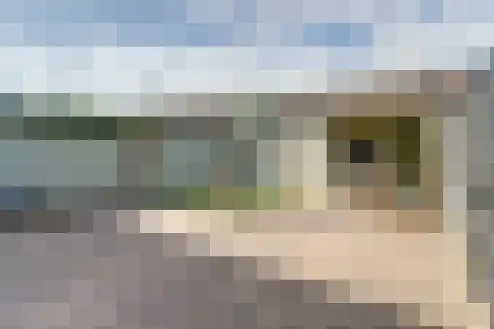Van Herlaerstraat 6 Ammerzoden thumbnail 30