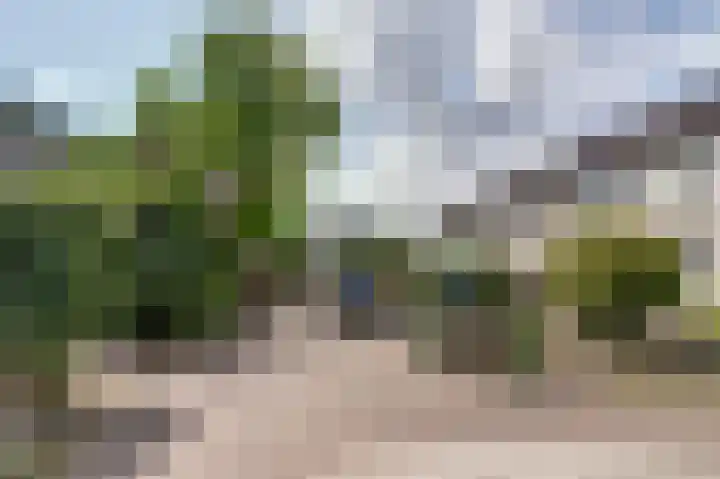 Van Herlaerstraat 6 Ammerzoden thumbnail 34