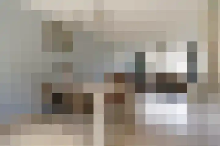 Van Herlaerstraat 6 Ammerzoden thumbnail 7
