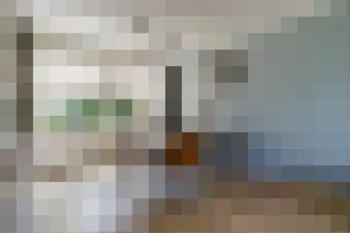 Van Herlaerstraat 6 Ammerzoden thumbnail 8