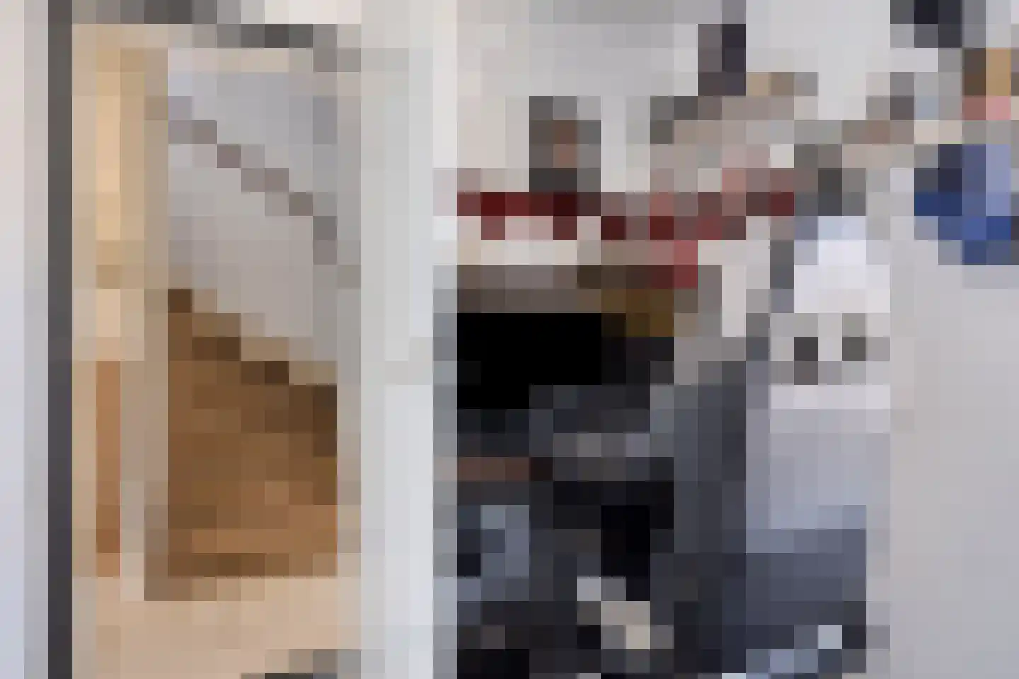 van Hertsbekestraat 10 Bruinisse thumbnail 21