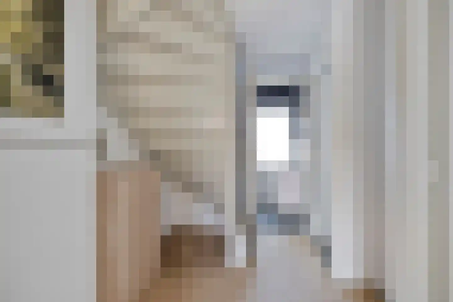 van Hertsbekestraat 10 Bruinisse thumbnail 23