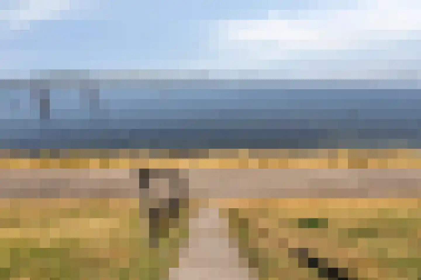 van Hertsbekestraat 10 Bruinisse thumbnail 39