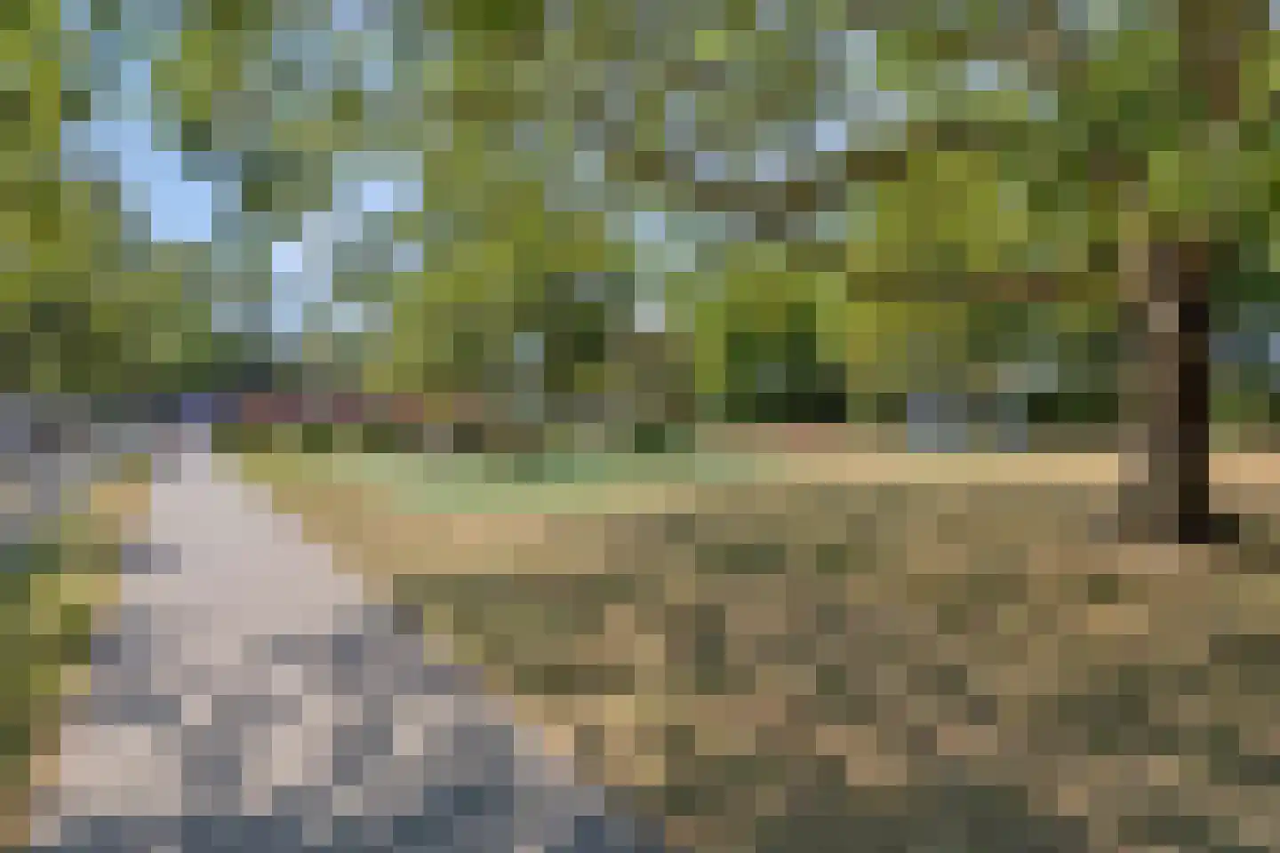 van Hertsbekestraat 10 Bruinisse thumbnail 40