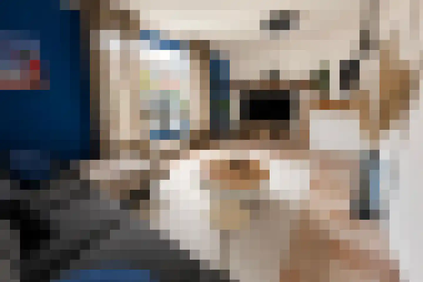 van Hertsbekestraat 10 Bruinisse thumbnail 5