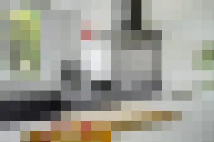 Van Herwerdenlaan 22 Utrecht thumbnail 18