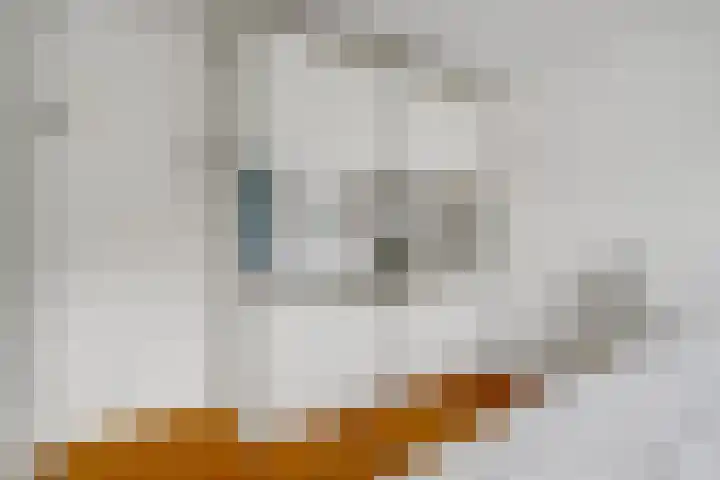 Van Herwerdenlaan 22 Utrecht thumbnail 22