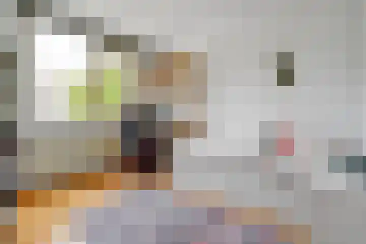 Van Herwerdenlaan 22 Utrecht thumbnail 25