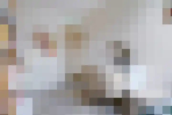 Van Herwerdenlaan 22 Utrecht thumbnail 27