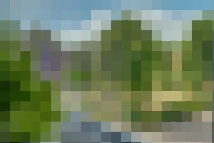 Van Herwerdenlaan 22 Utrecht thumbnail 33