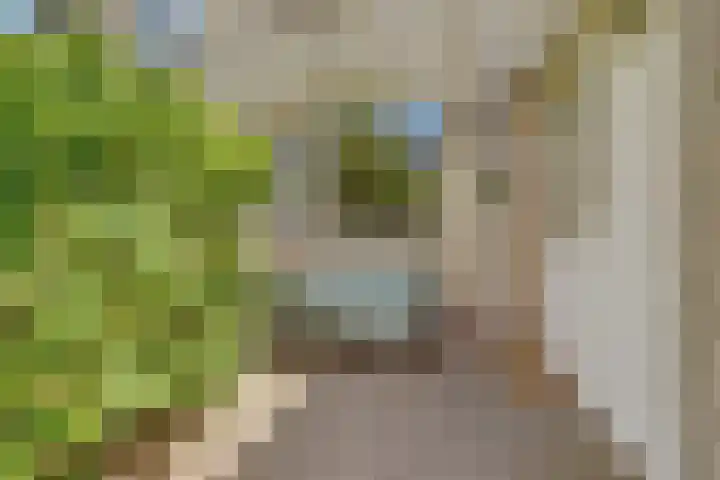 Van Herwerdenlaan 22 Utrecht thumbnail 5