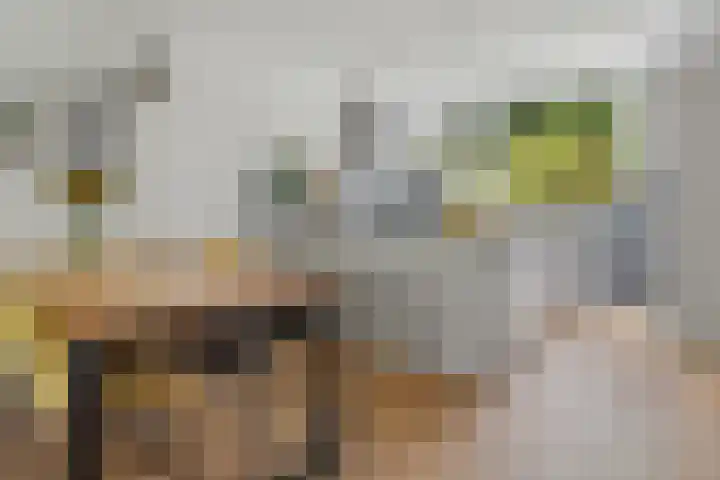 Van Herwerdenlaan 40 Utrecht thumbnail 13