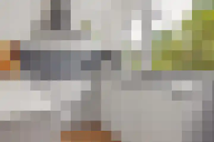 Van Herwerdenlaan 40 Utrecht thumbnail 17