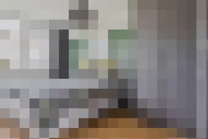Van Herwerdenlaan 40 Utrecht thumbnail 21