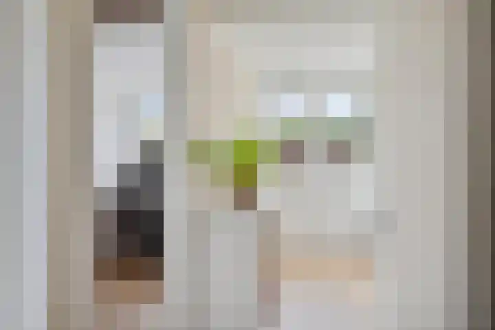 Van Herwerdenlaan 40 Utrecht thumbnail 29