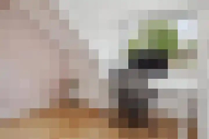 Van Herwerdenlaan 40 Utrecht thumbnail 30
