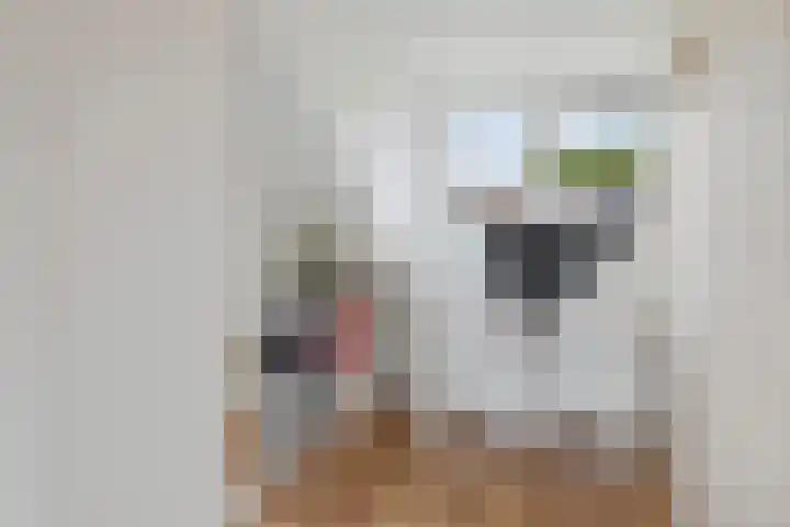 Van Herwerdenlaan 40 Utrecht thumbnail 33