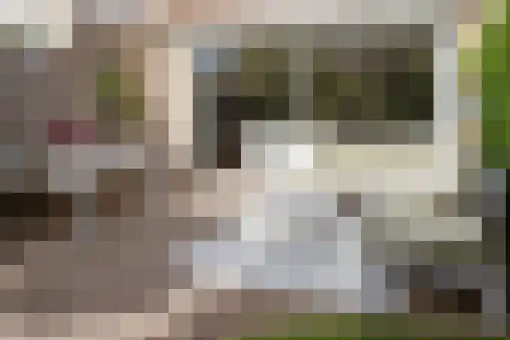 Van Herwerdenlaan 40 Utrecht thumbnail 36