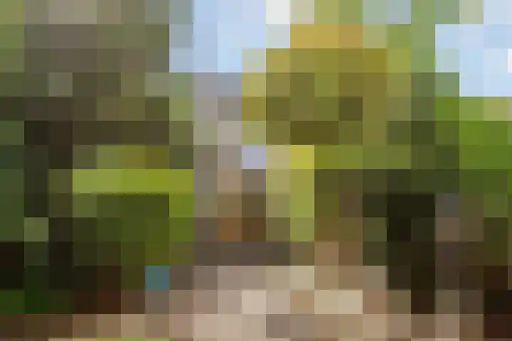 Van Herwerdenlaan 40 Utrecht thumbnail 38