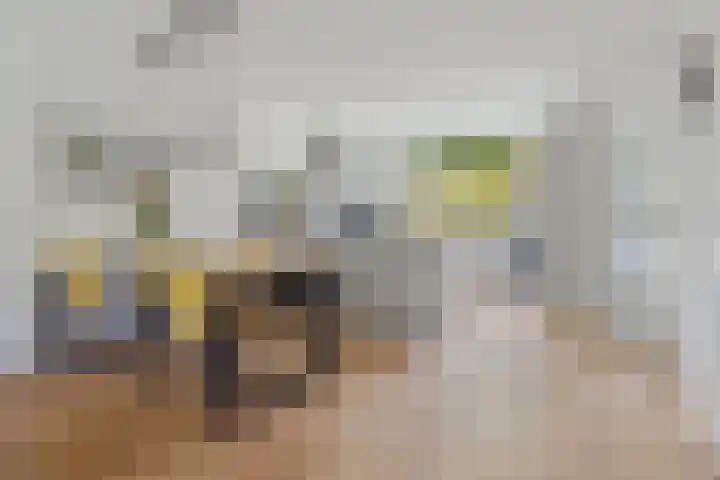 Van Herwerdenlaan 40 Utrecht thumbnail 4