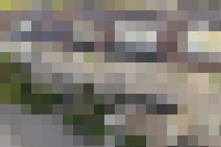 Van Herwerdenlaan 40 Utrecht thumbnail 41
