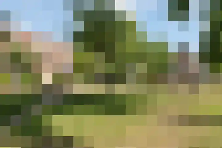 Van Herwerdenlaan 40 Utrecht thumbnail 43
