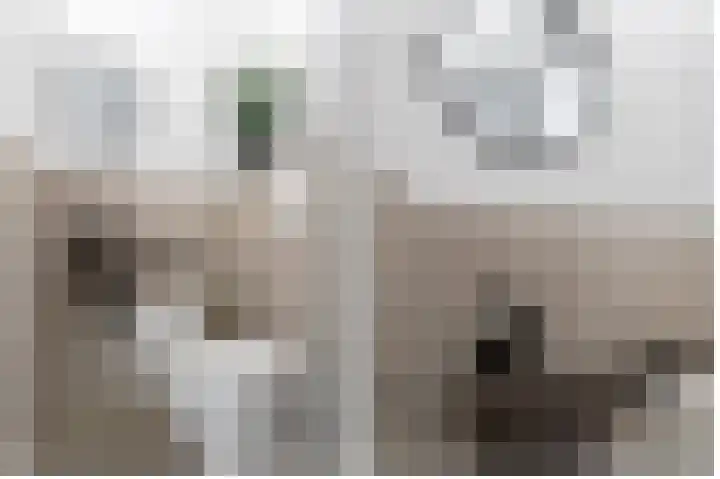Van Herwerdenlaan 40 Utrecht thumbnail 8
