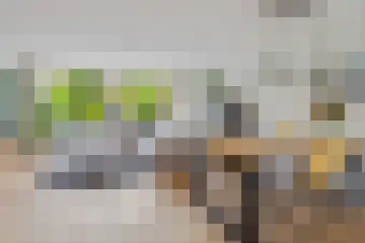 Van Herwerdenlaan 40 Utrecht thumbnail 9