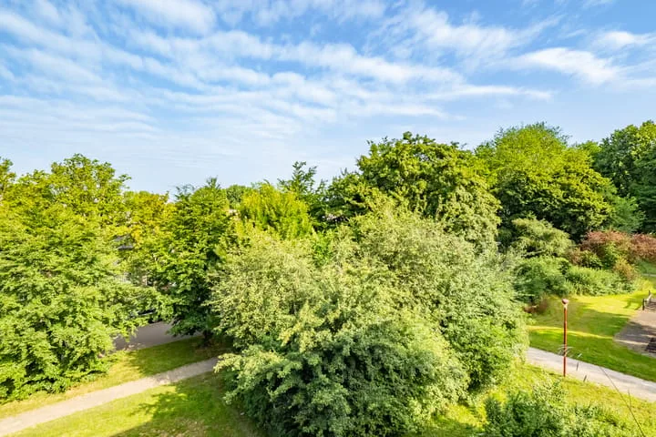 van Herwijnenplantsoen 238 Nieuwegein thumbnail 33