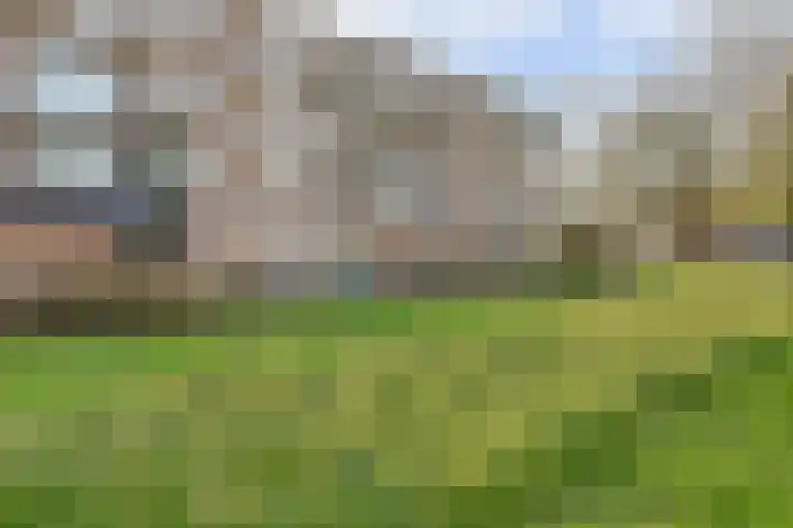 van Herwijnenplantsoen 252 Nieuwegein thumbnail 31
