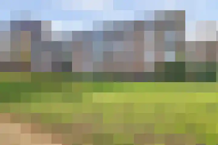 van Herwijnenplantsoen 252 Nieuwegein thumbnail 32