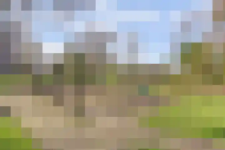 van Herwijnenplantsoen 252 Nieuwegein thumbnail 34