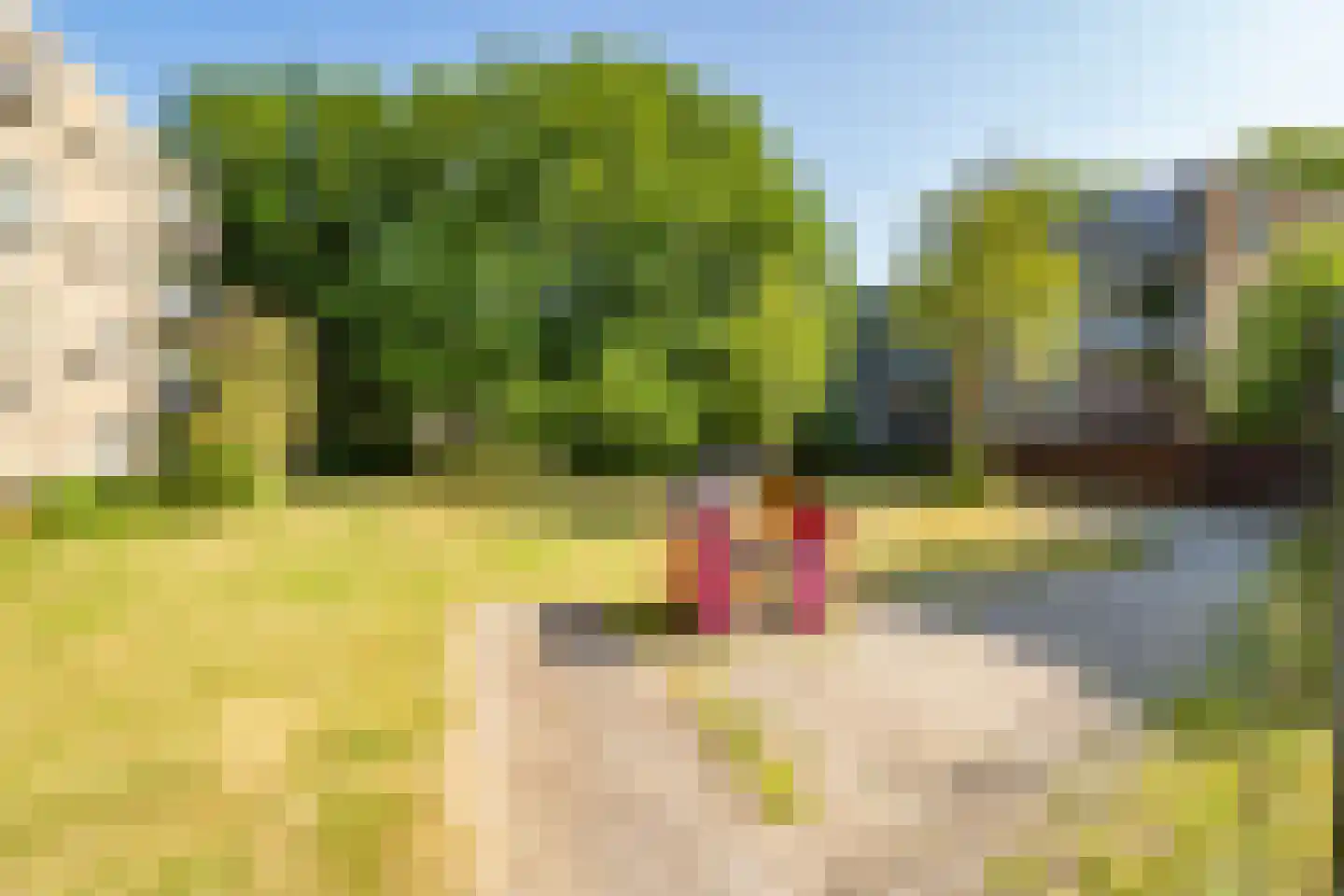 van Herwijnenplantsoen 253 Nieuwegein thumbnail 38