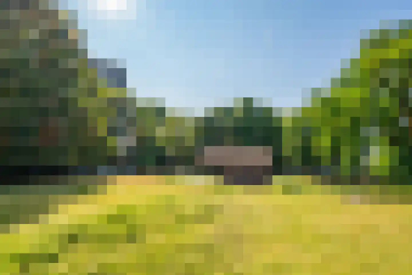 van Herwijnenplantsoen 253 Nieuwegein thumbnail 9