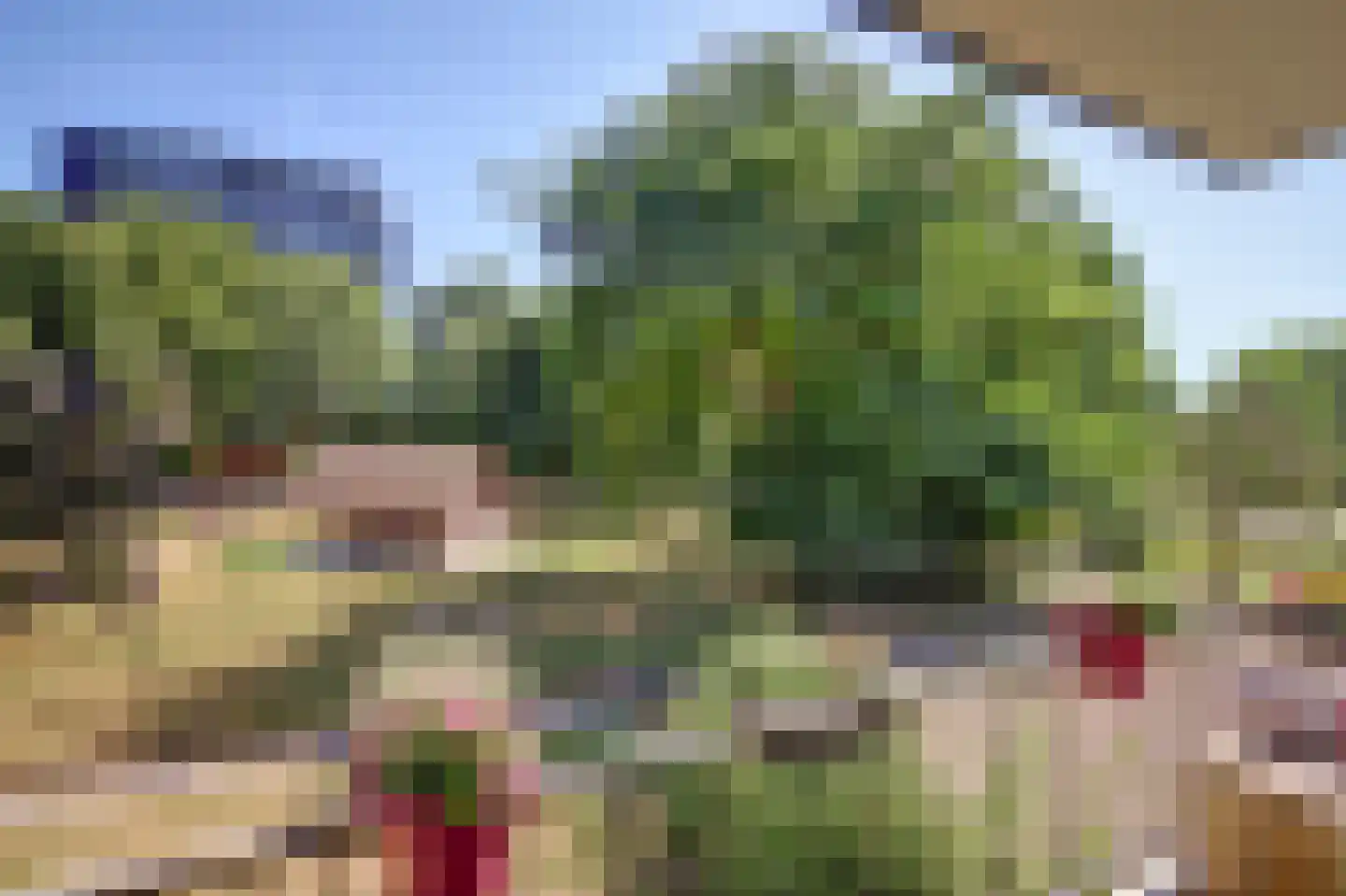van Herwijnenplantsoen 261 Nieuwegein thumbnail 6