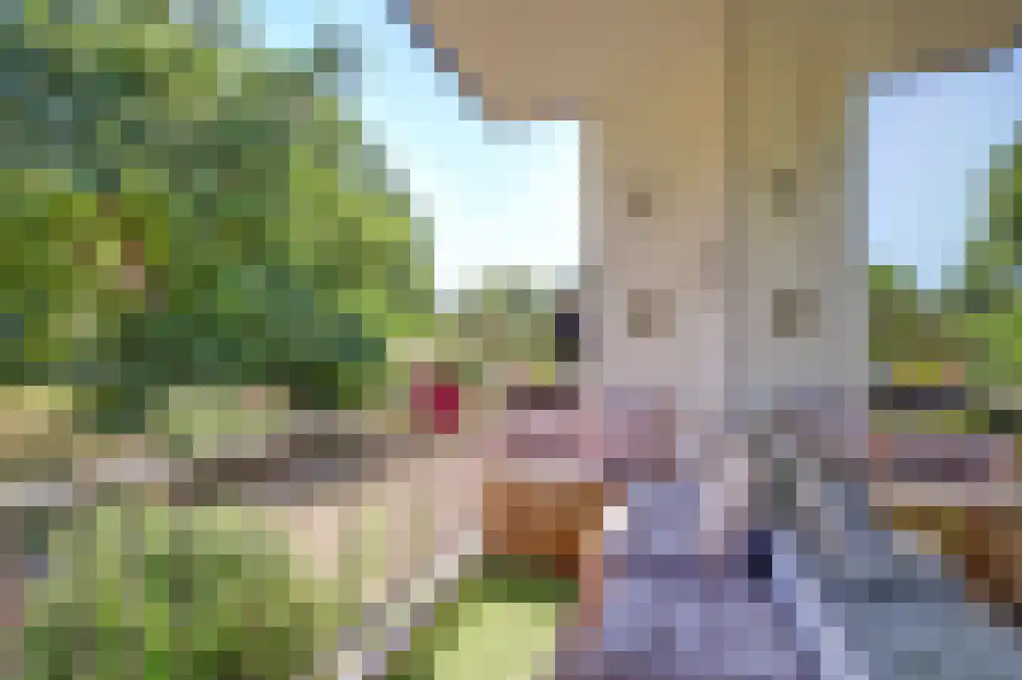 van Herwijnenplantsoen 261 Nieuwegein thumbnail 7