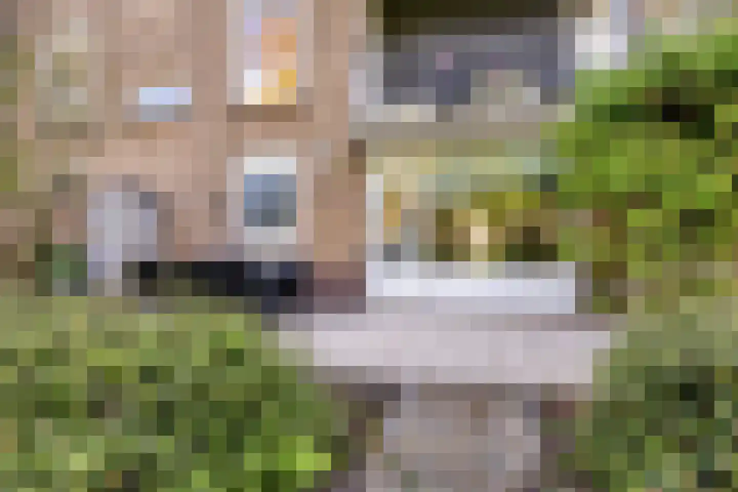 van Herwijnenplantsoen 288 Nieuwegein thumbnail 27