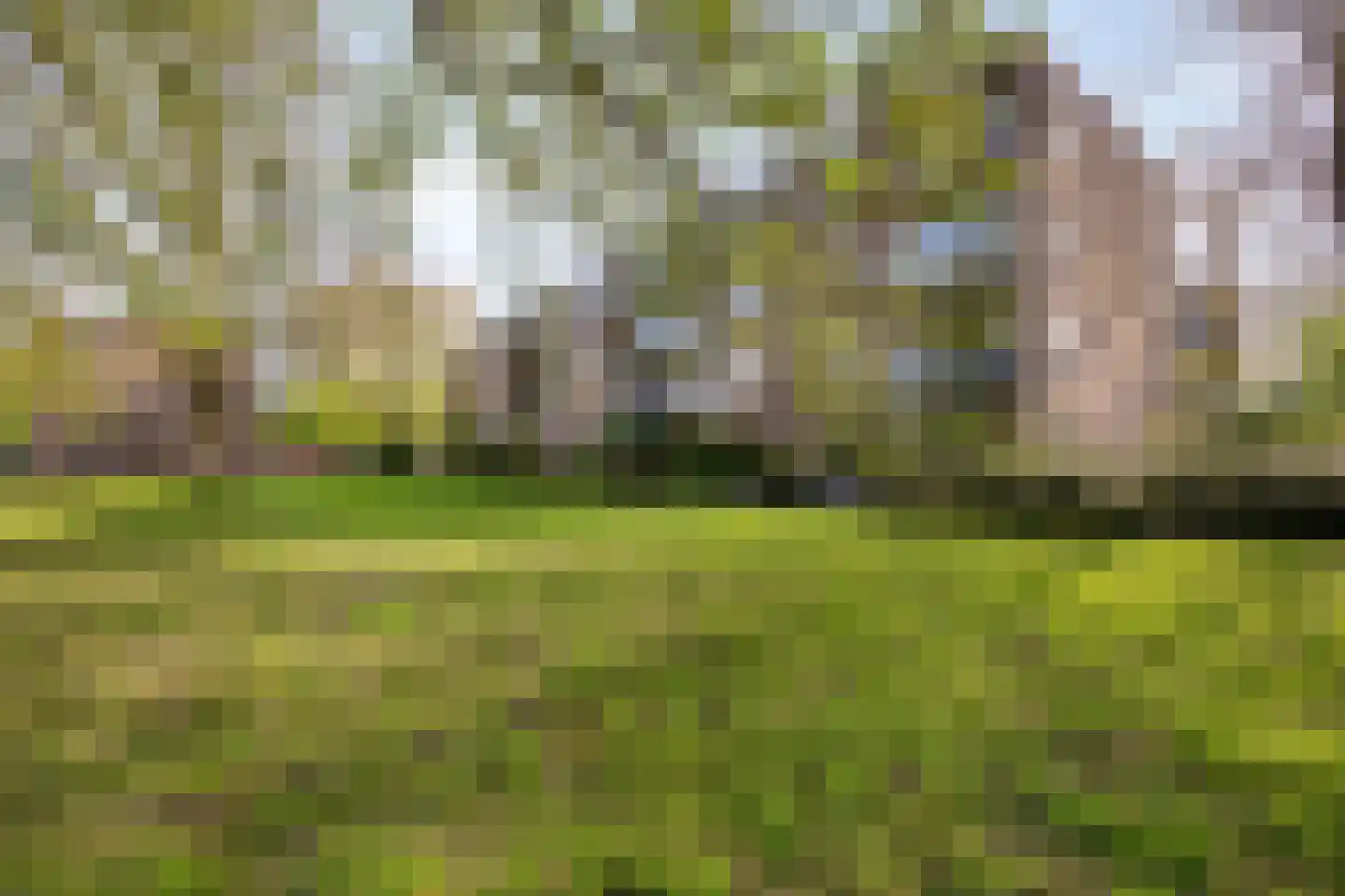 van Herwijnenplantsoen 288 Nieuwegein thumbnail 30