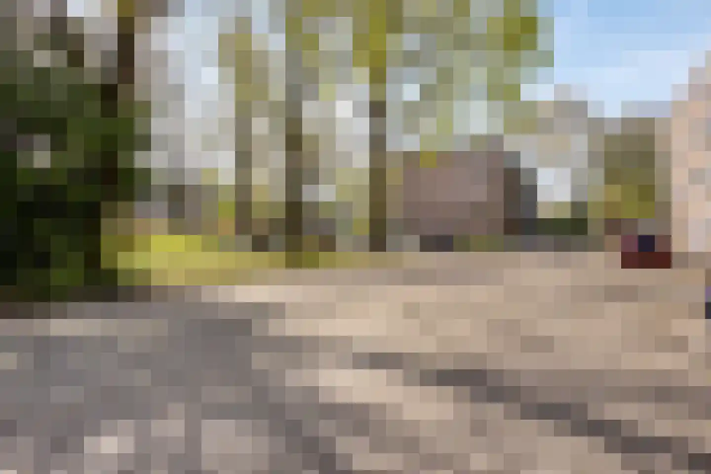 van Herwijnenplantsoen 288 Nieuwegein thumbnail 35