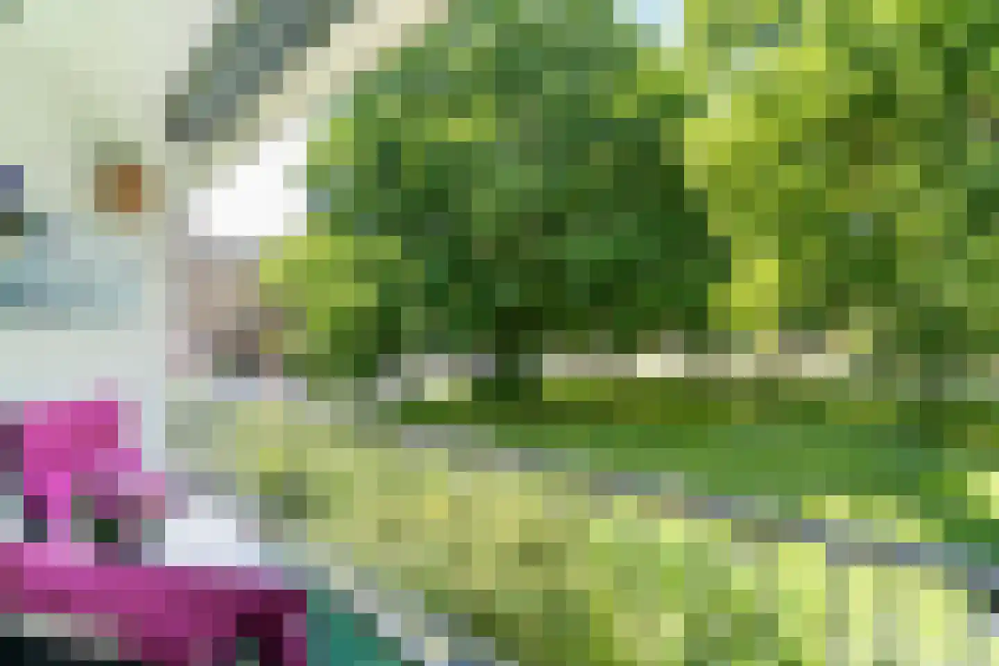 van Herwijnenplantsoen 290 Nieuwegein thumbnail 12