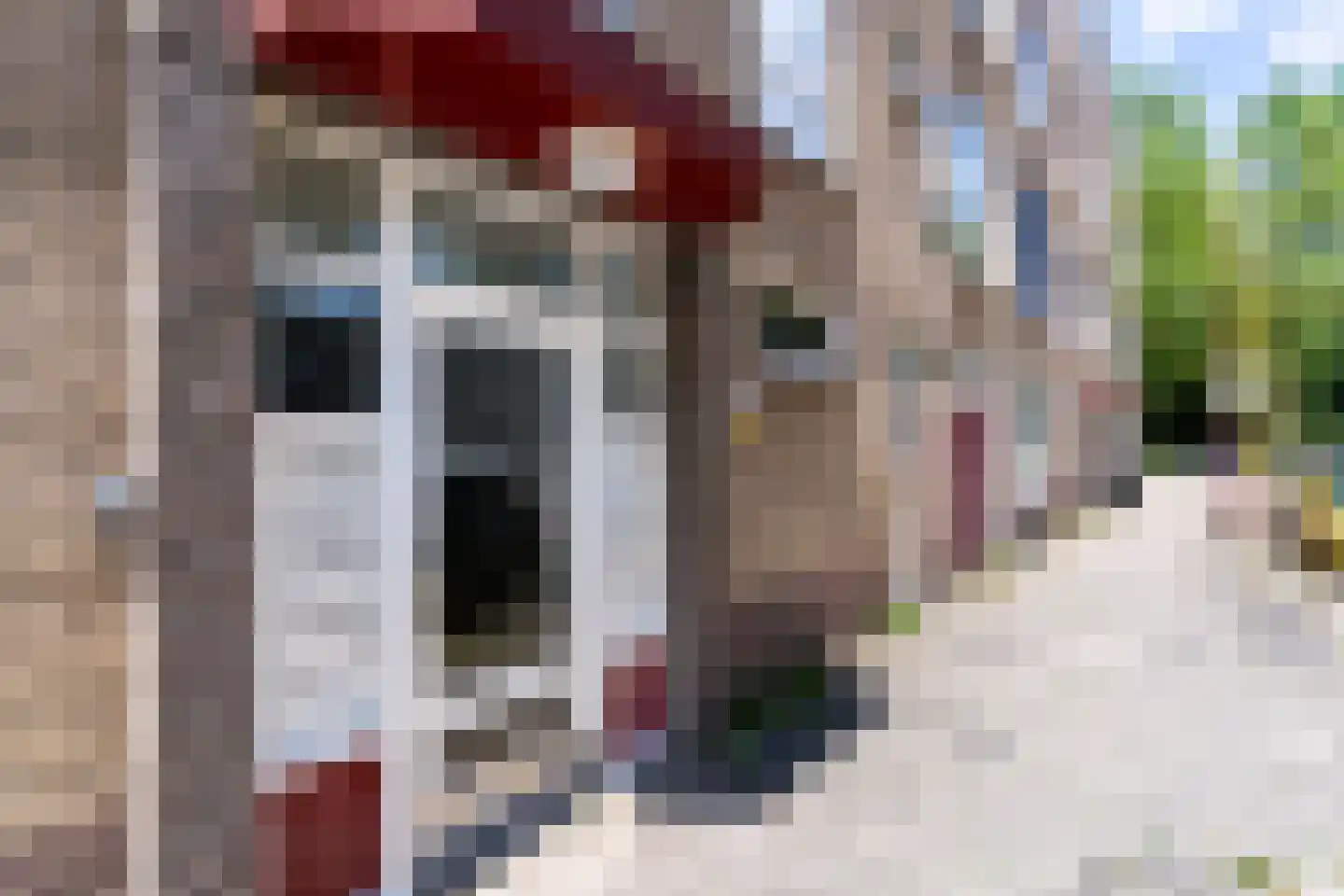 van Herwijnenplantsoen 290 Nieuwegein thumbnail 32