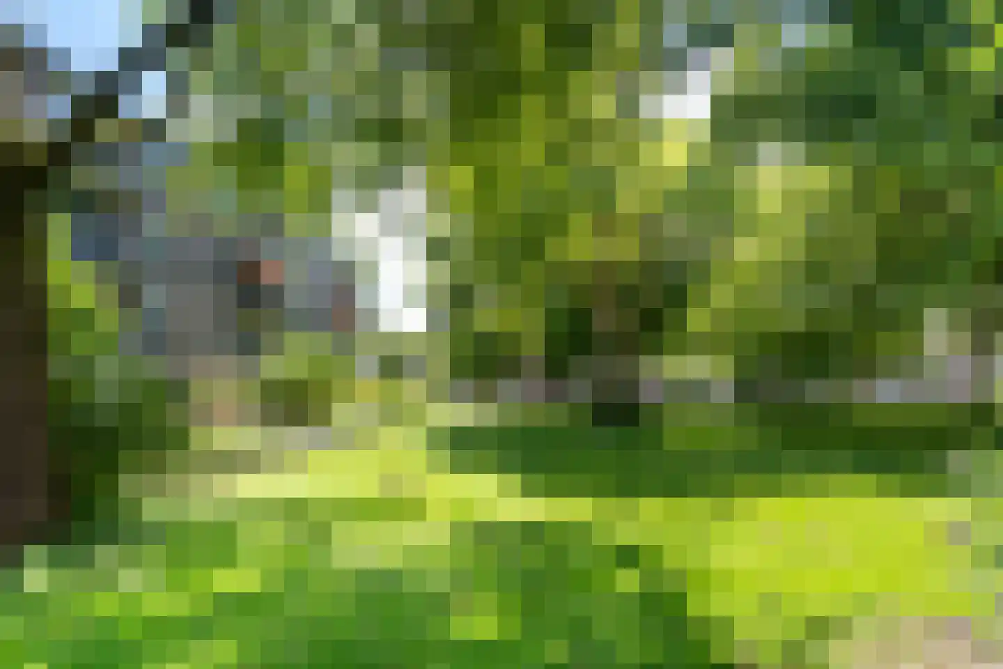 van Herwijnenplantsoen 290 Nieuwegein thumbnail 38