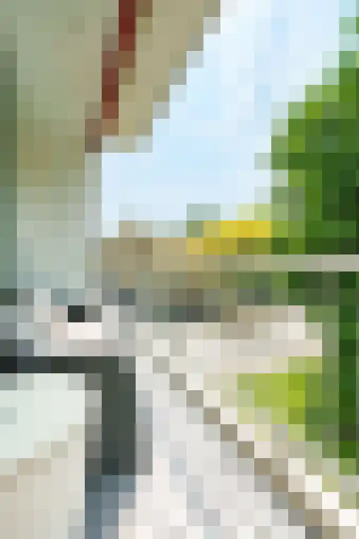 van Herwijnenplantsoen 306 Nieuwegein thumbnail 18