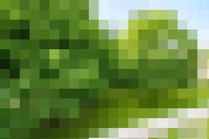 van Herwijnenplantsoen 306 Nieuwegein thumbnail 19