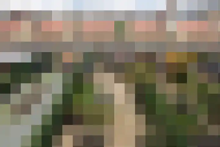Van Hessen Kasselstraat 20 Sneek thumbnail 41